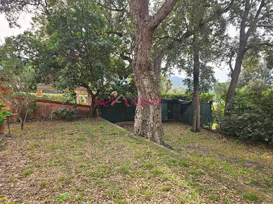 Immagine 22 di Villa in vendita  a Castiglione Della Pescaia