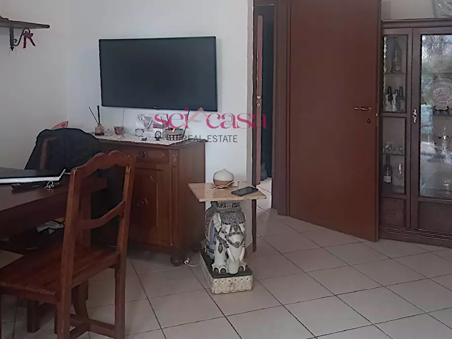 Immagine 5 di Appartamento in vendita  a Roccastrada