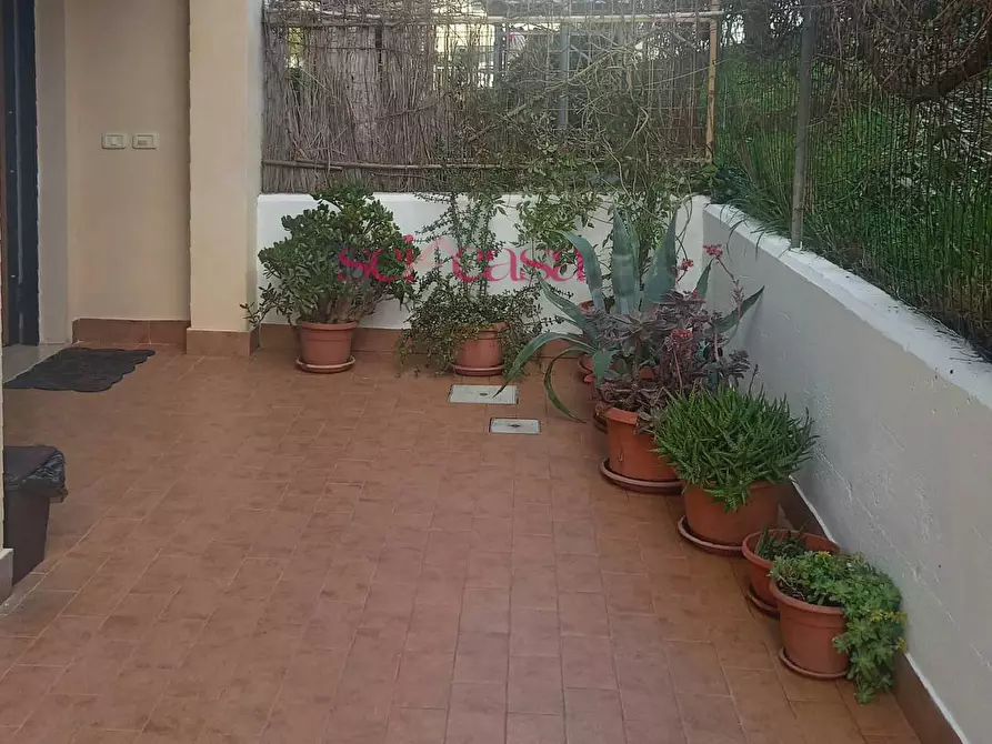 Immagine 7 di Appartamento in vendita  a Roccastrada