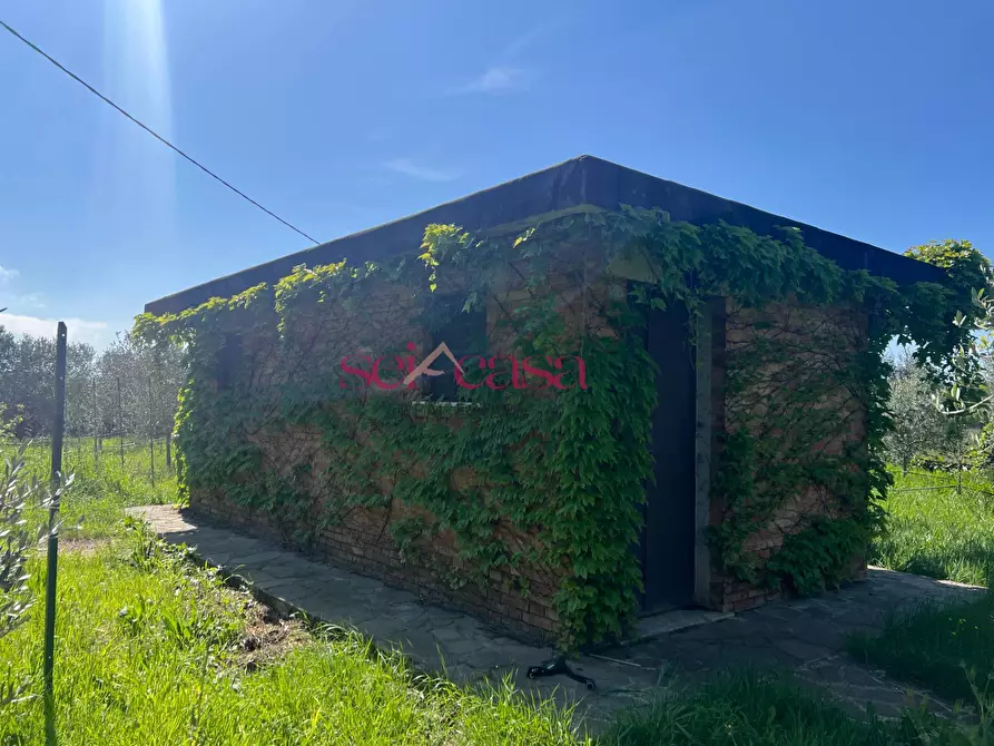 Immagine 1 di Terreno agricolo in vendita  a Grosseto