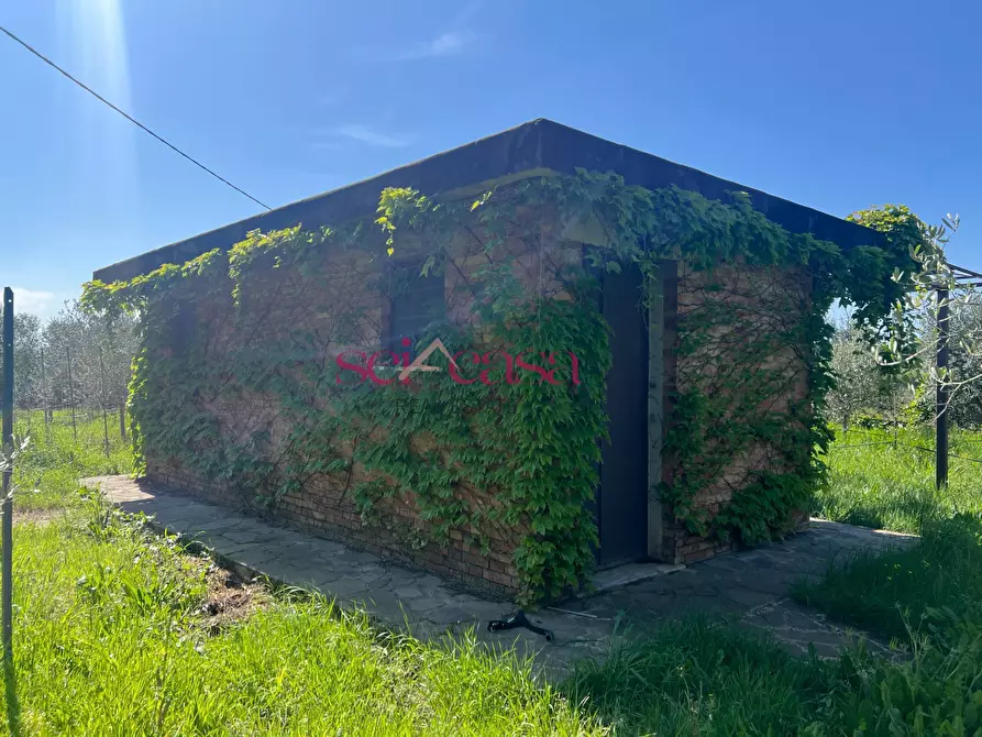 Immagine 8 di Terreno agricolo in vendita  a Grosseto