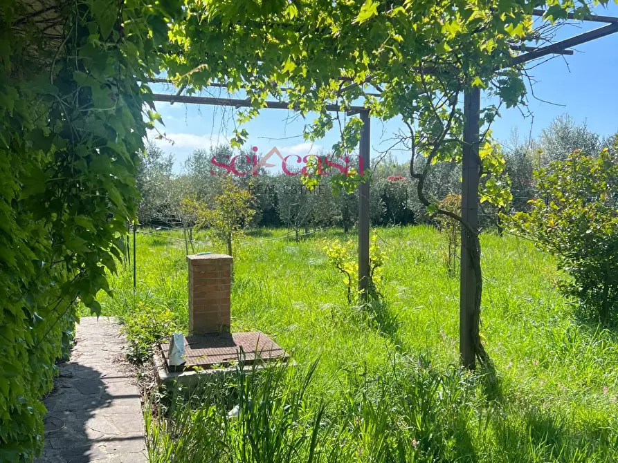 Immagine 10 di Terreno agricolo in vendita  a Grosseto