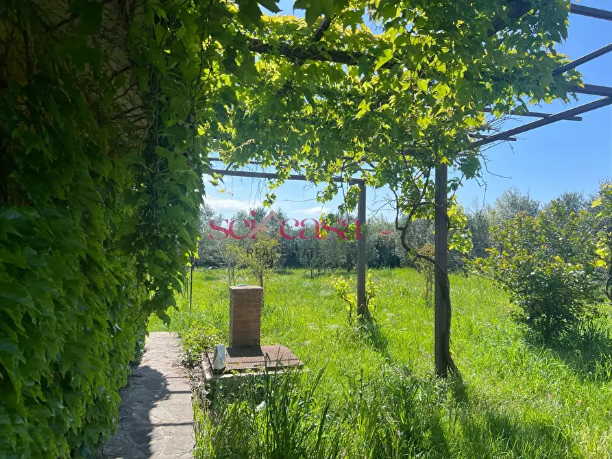 Immagine 11 di Terreno agricolo in vendita  a Grosseto