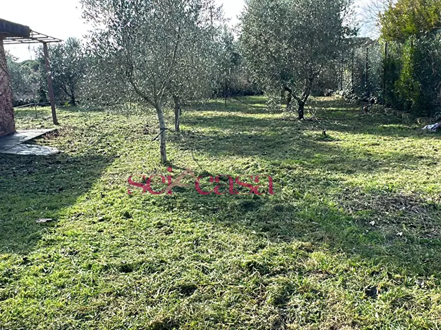 Immagine 17 di Terreno agricolo in vendita  a Grosseto