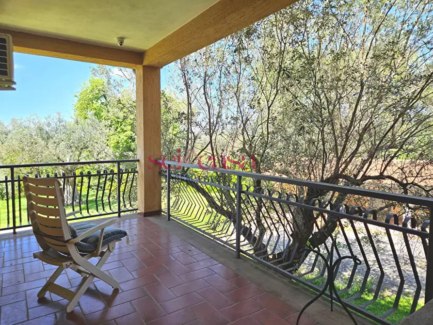 Immagine 3 di Villa in vendita  a Magliano In Toscana