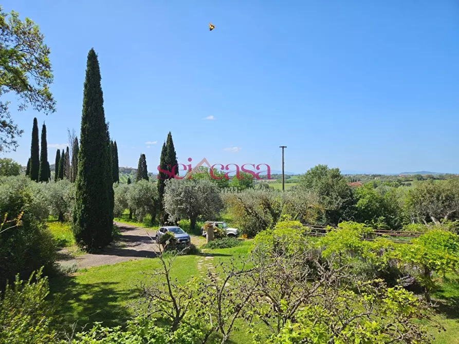 Immagine 11 di Villa in vendita  a Magliano In Toscana