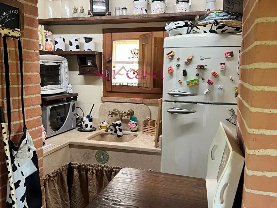 Immagine 3 di Rustico / casale in affitto  a Cinigiano