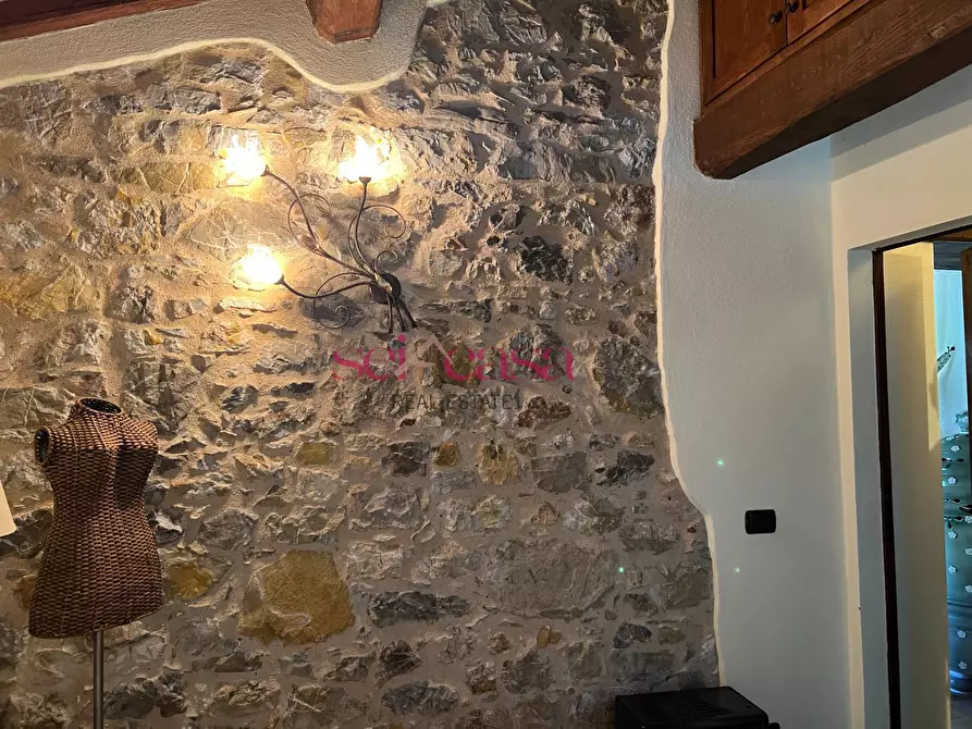Immagine 8 di Rustico / casale in affitto  a Cinigiano