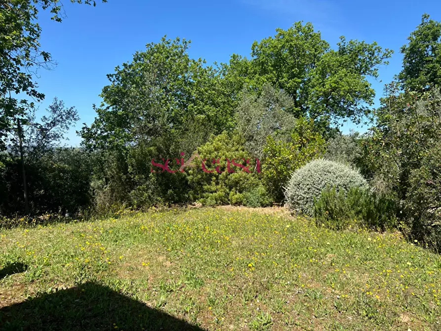 Immagine 20 di Rustico / casale in affitto  a Cinigiano