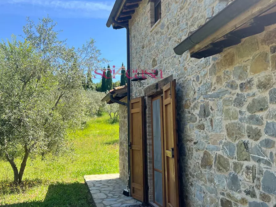Immagine 21 di Rustico / casale in affitto  a Cinigiano