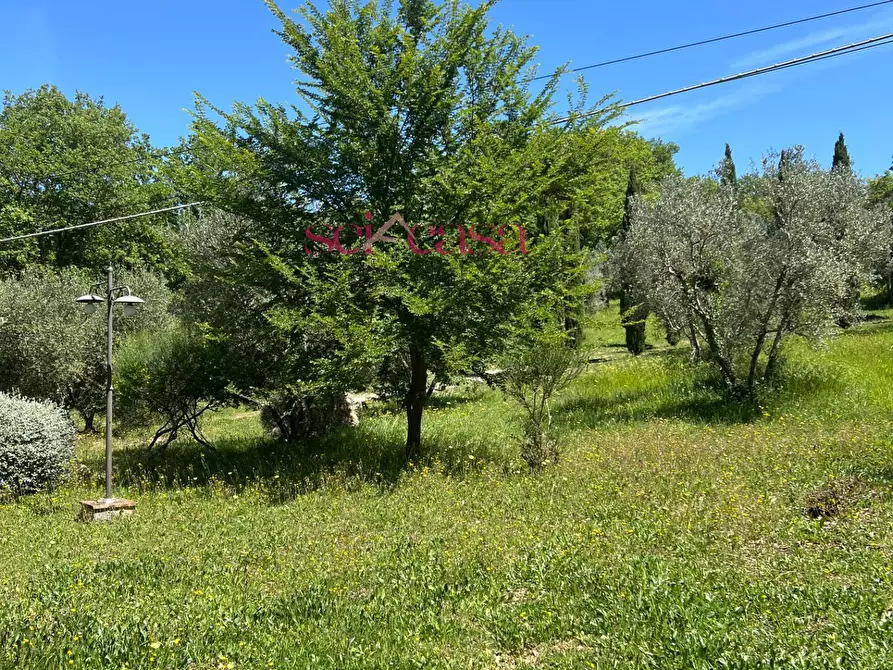 Immagine 26 di Rustico / casale in affitto  a Cinigiano