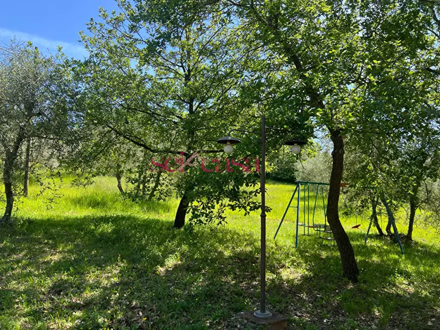 Immagine 28 di Rustico / casale in affitto  a Cinigiano