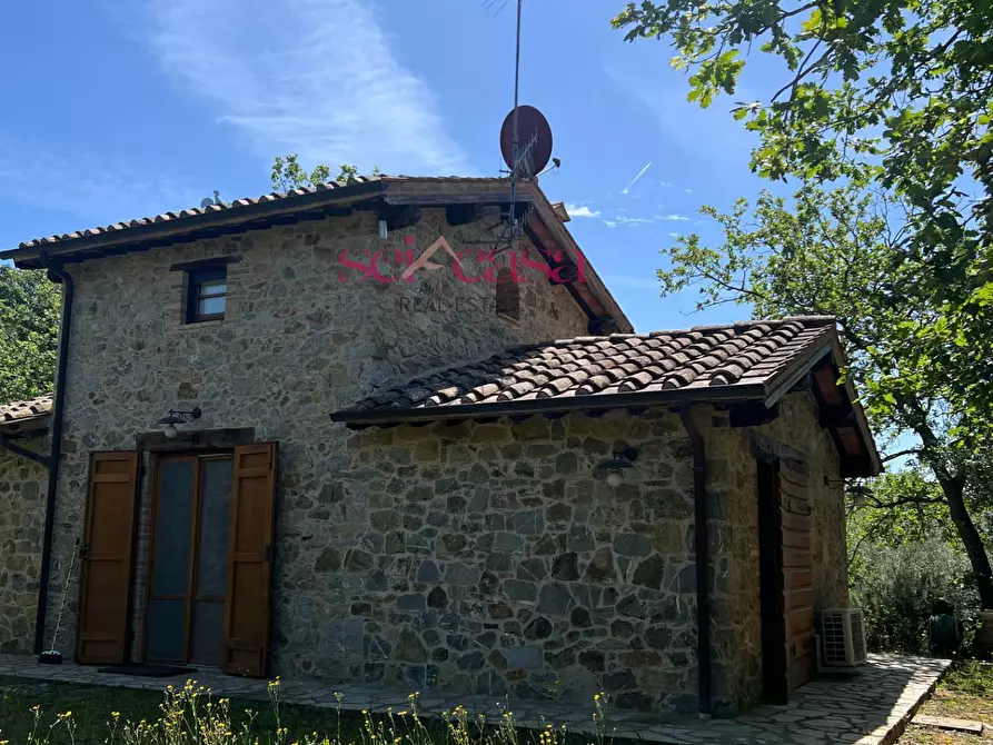 Immagine 30 di Rustico / casale in affitto  a Cinigiano