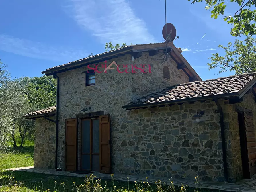 Immagine 31 di Rustico / casale in affitto  a Cinigiano