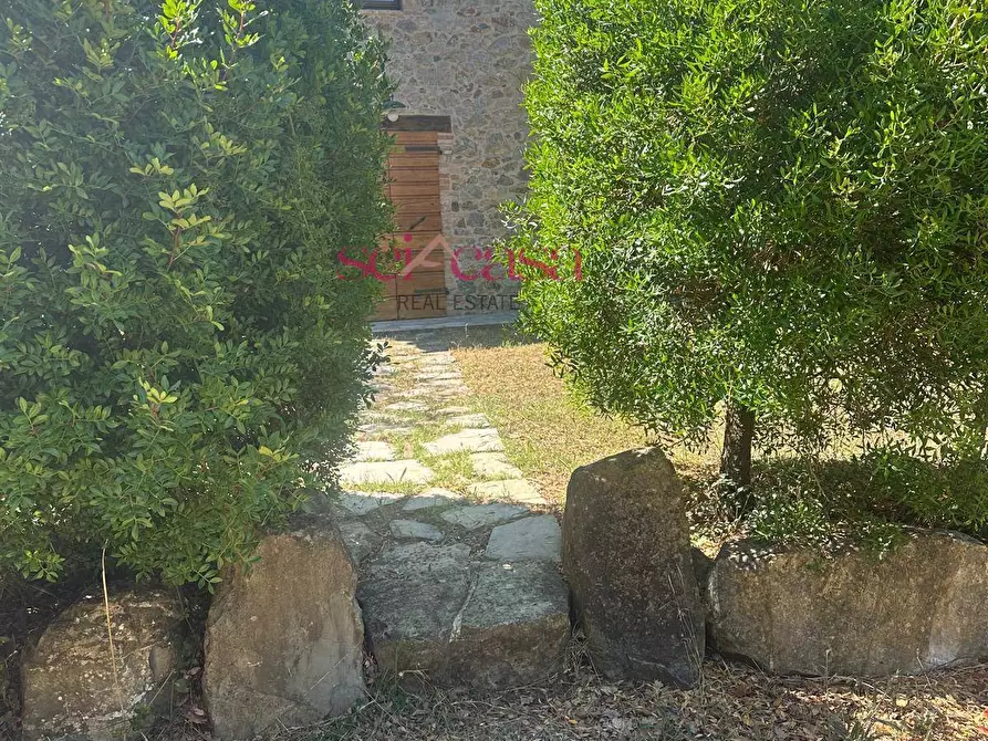 Immagine 34 di Rustico / casale in affitto  a Cinigiano