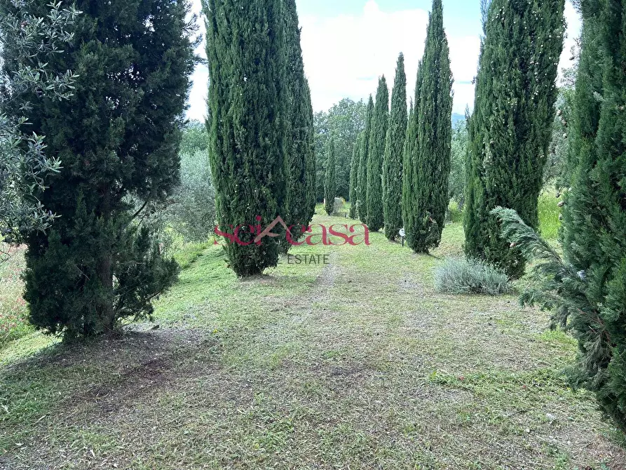 Immagine 36 di Rustico / casale in affitto  a Cinigiano