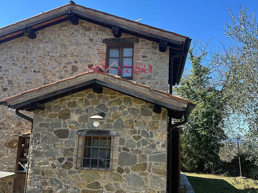 Immagine 37 di Rustico / casale in affitto  a Cinigiano