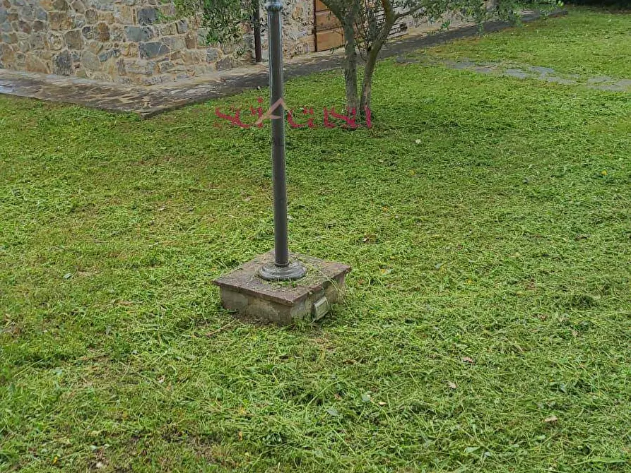 Immagine 39 di Rustico / casale in affitto  a Cinigiano