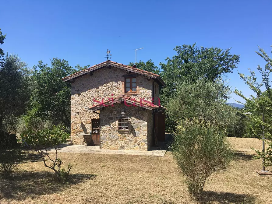 Immagine 41 di Rustico / casale in affitto  a Cinigiano