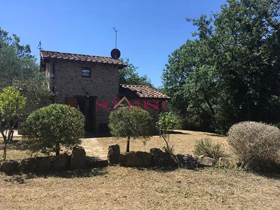 Immagine 42 di Rustico / casale in affitto  a Cinigiano