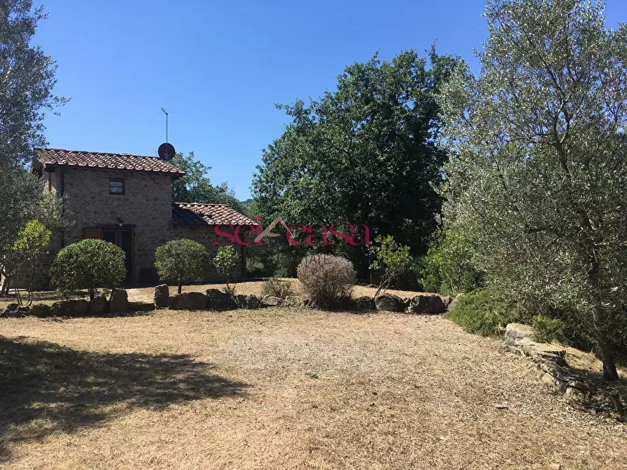 Immagine 43 di Rustico / casale in affitto  a Cinigiano