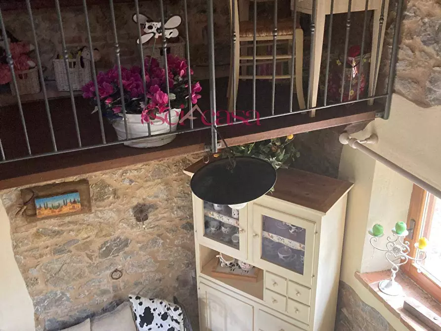 Immagine 46 di Rustico / casale in affitto  a Cinigiano