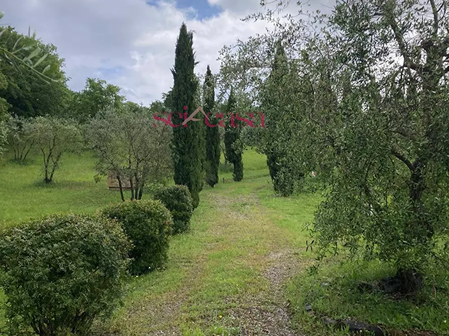 Immagine 48 di Rustico / casale in affitto  a Cinigiano