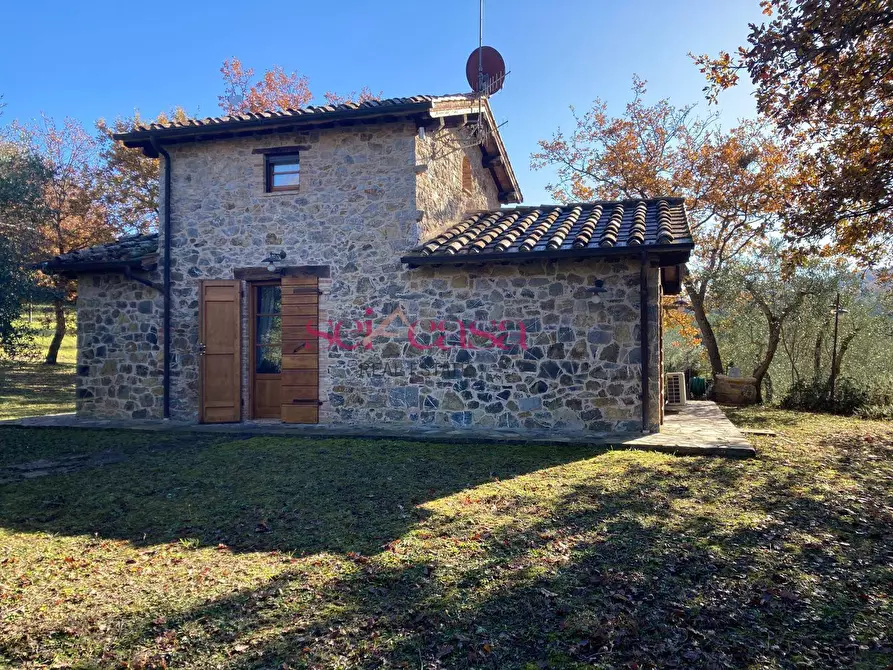 Immagine 2 di Rustico / casale in affitto  a Cinigiano