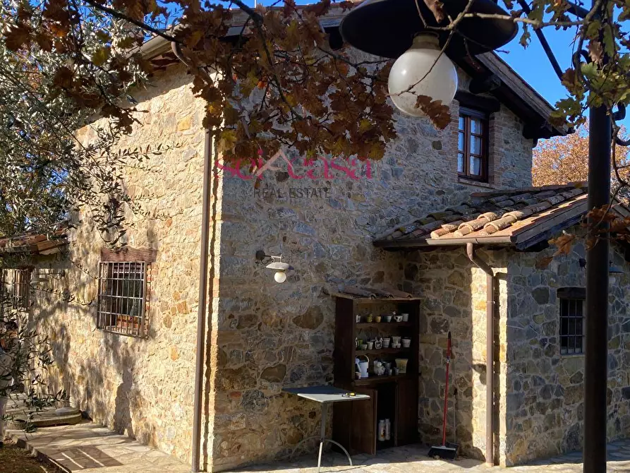 Immagine 49 di Rustico / casale in affitto  a Cinigiano