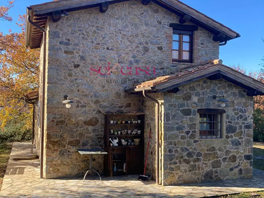 Immagine 50 di Rustico / casale in affitto  a Cinigiano