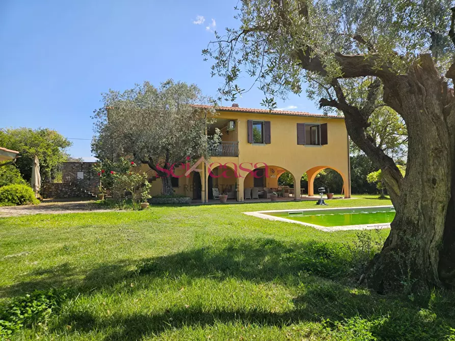 Immagine 34 di Villa in vendita  a Magliano In Toscana