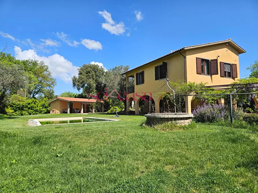 Immagine 35 di Villa in vendita  a Magliano In Toscana