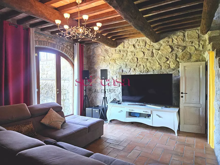 Immagine 3 di Villa in vendita  a Grosseto