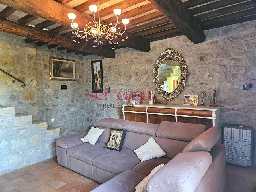 Immagine 4 di Villa in vendita  a Grosseto