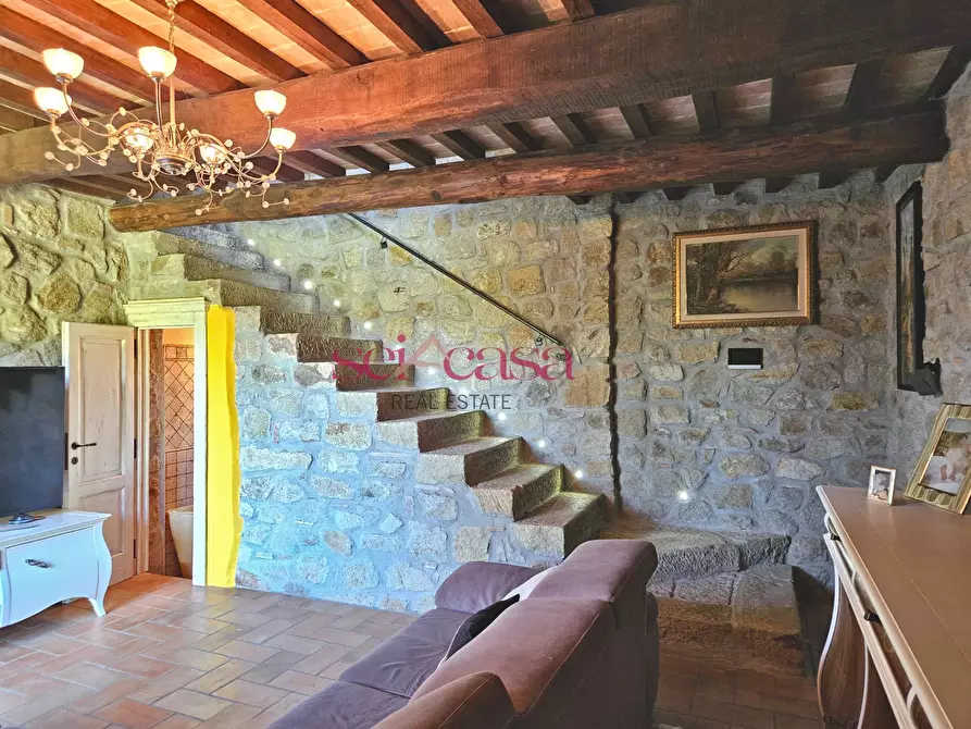Immagine 5 di Villa in vendita  a Grosseto