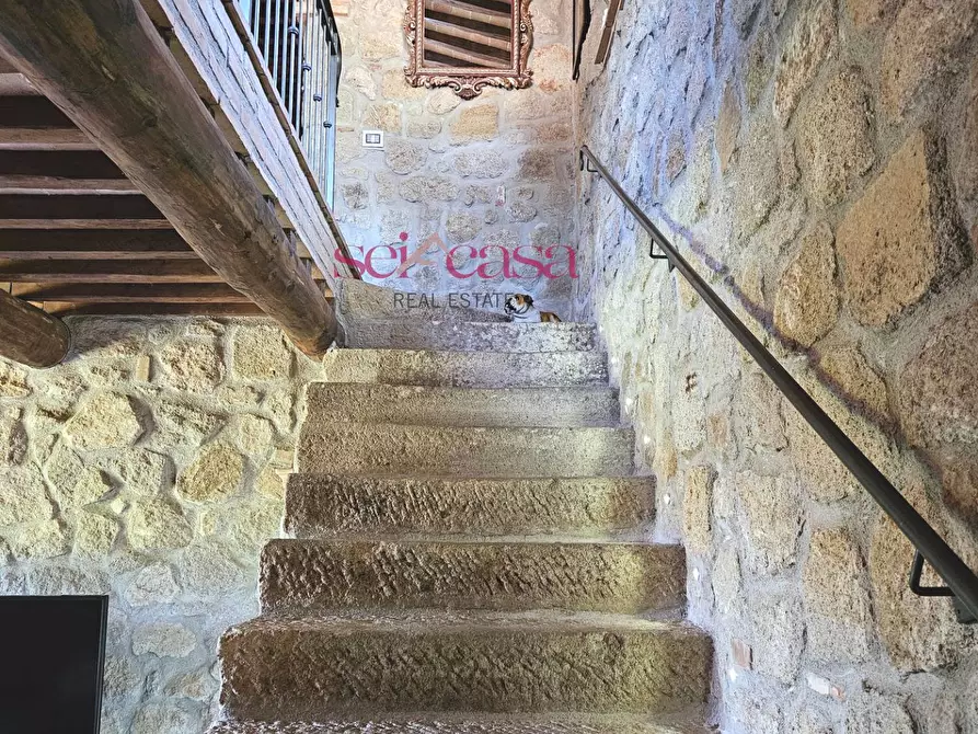 Immagine 6 di Villa in vendita  a Grosseto