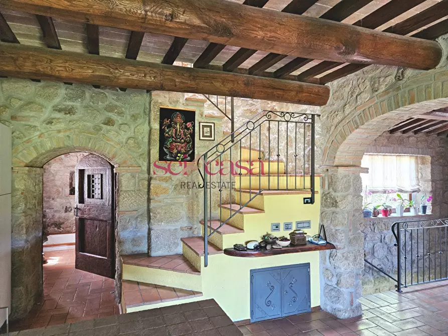 Immagine 19 di Villa in vendita  a Grosseto