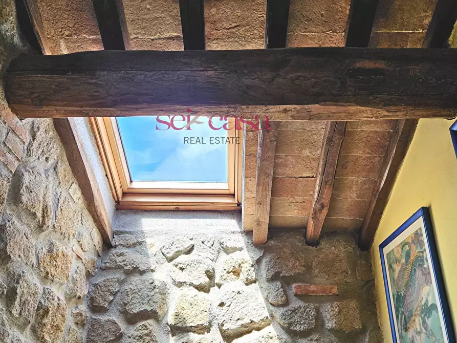 Immagine 36 di Villa in vendita  a Grosseto