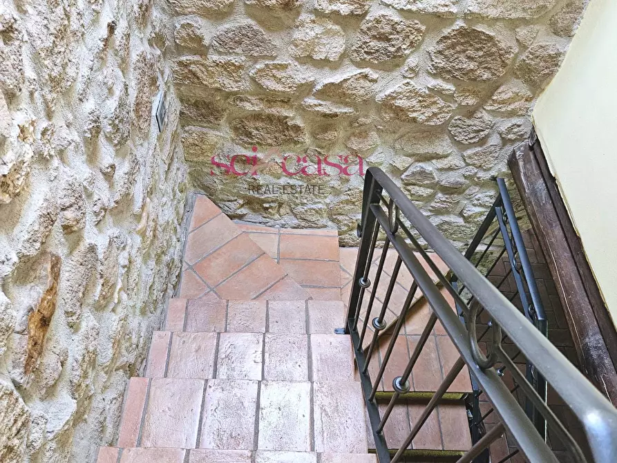 Immagine 26 di Villa in vendita  a Grosseto