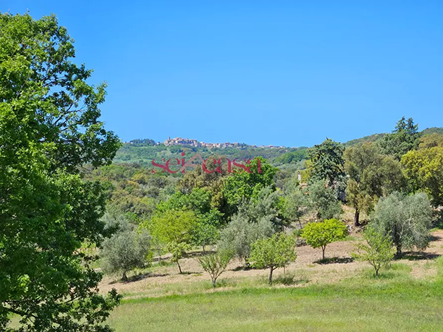 Immagine 40 di Villa in vendita  a Grosseto