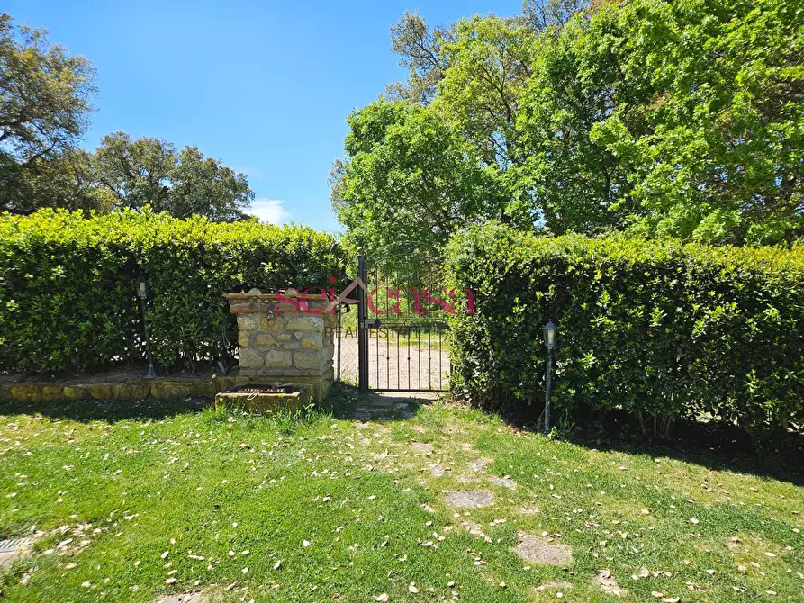 Immagine 41 di Villa in vendita  a Grosseto