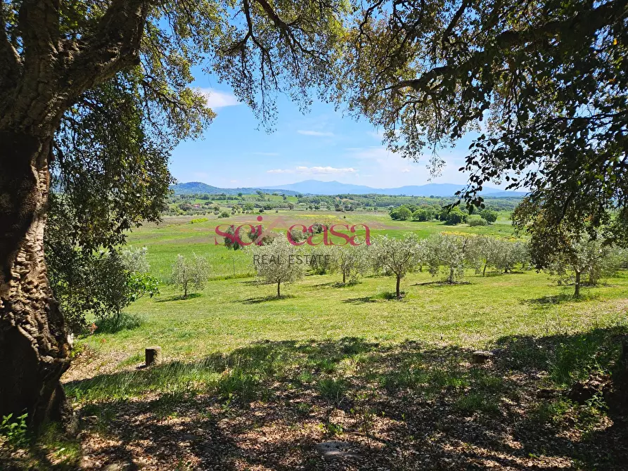 Immagine 42 di Villa in vendita  a Grosseto