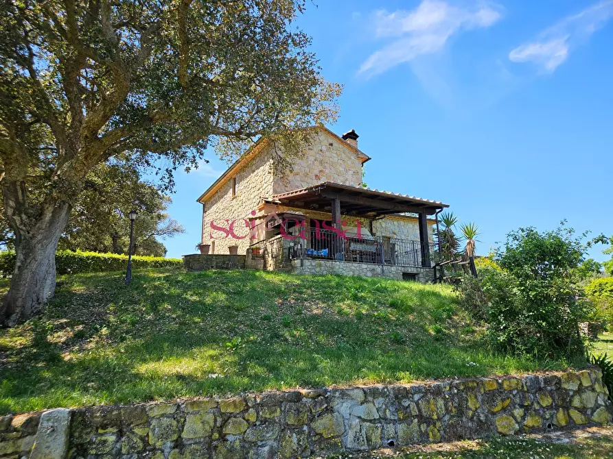 Immagine 45 di Villa in vendita  a Grosseto