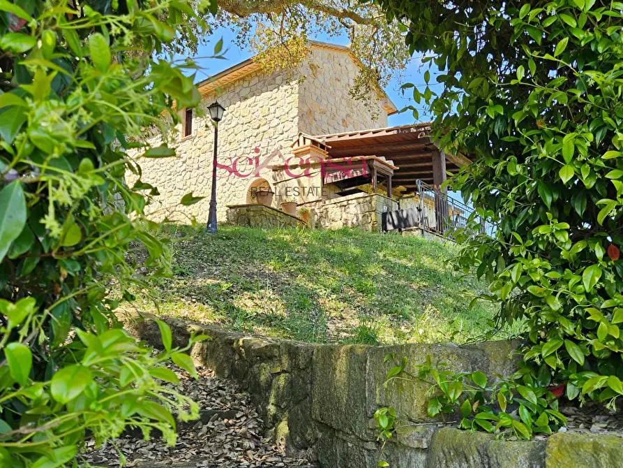 Immagine 46 di Villa in vendita  a Grosseto