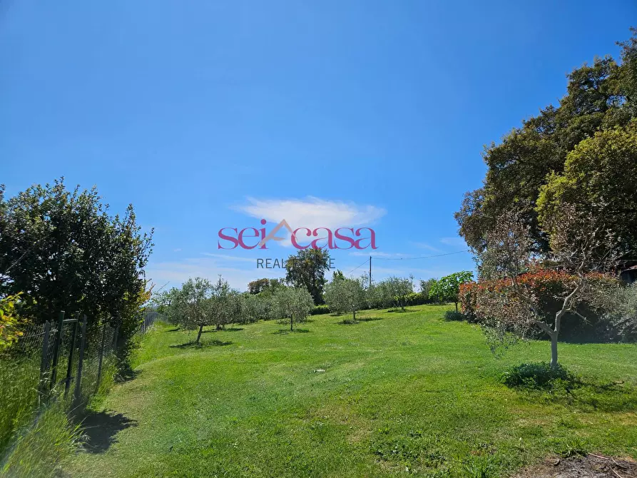 Immagine 47 di Villa in vendita  a Grosseto