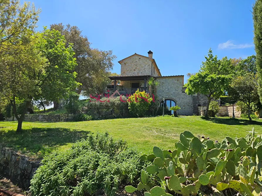 Immagine 1 di Villa in vendita  a Grosseto
