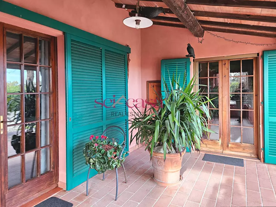 Immagine 17 di Agriturismo in vendita  a Grosseto