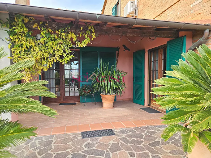 Immagine 19 di Agriturismo in vendita  a Grosseto