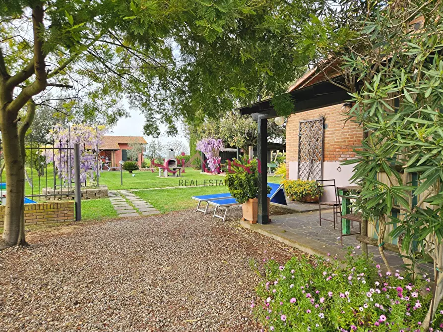Immagine 20 di Agriturismo in vendita  a Grosseto