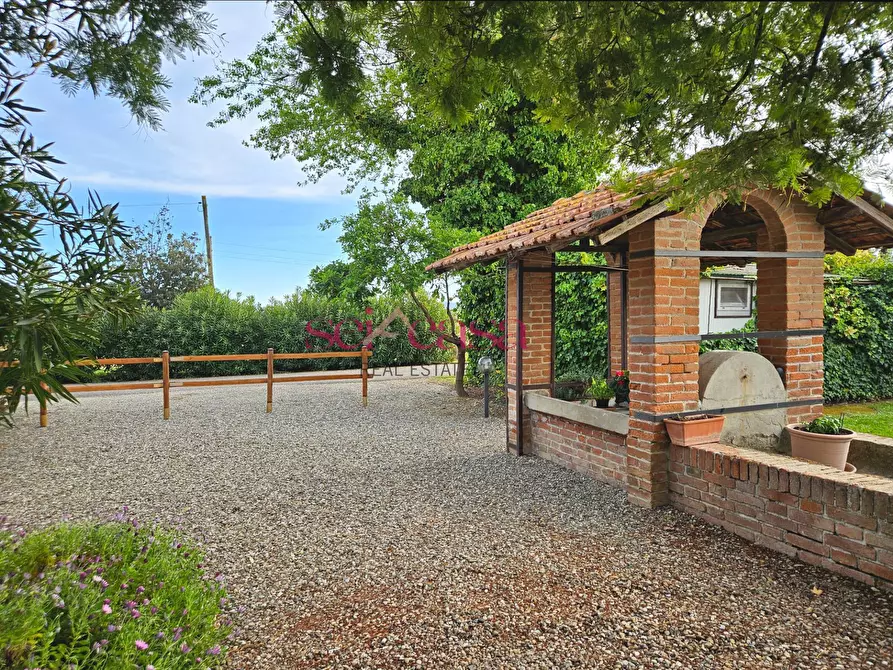 Immagine 21 di Agriturismo in vendita  a Grosseto